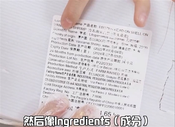 东方甄选 虾之迷雾开云全站(图2)