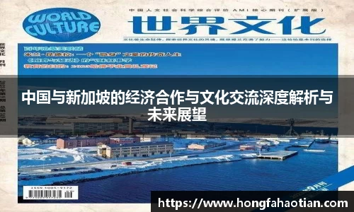中国与新加坡的经济合作与文化交流深度解析与未来展望