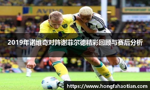2019年诺维奇对阵谢菲尔德精彩回顾与赛后分析